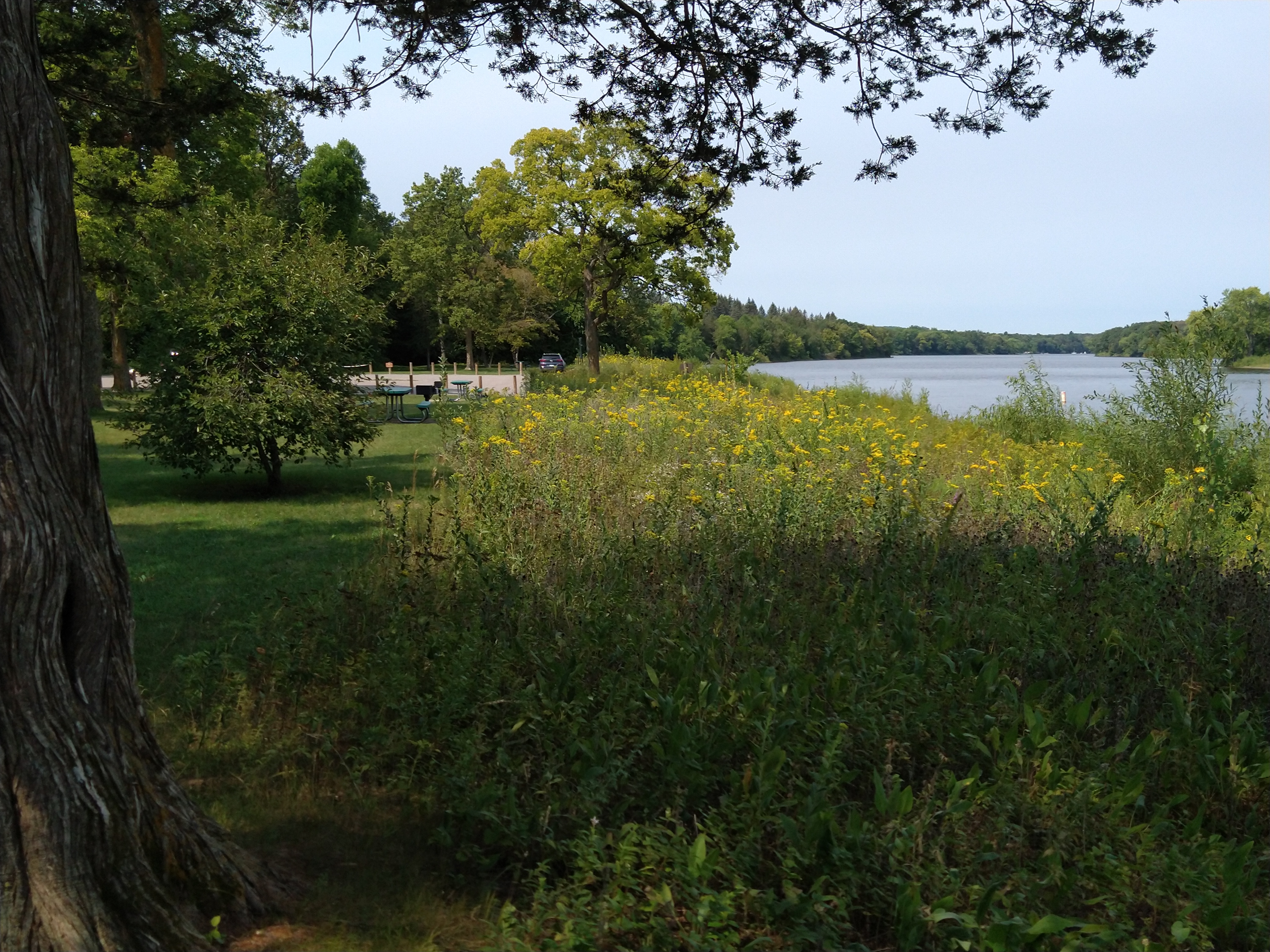 Restored streambank site at Mississippi River Park.